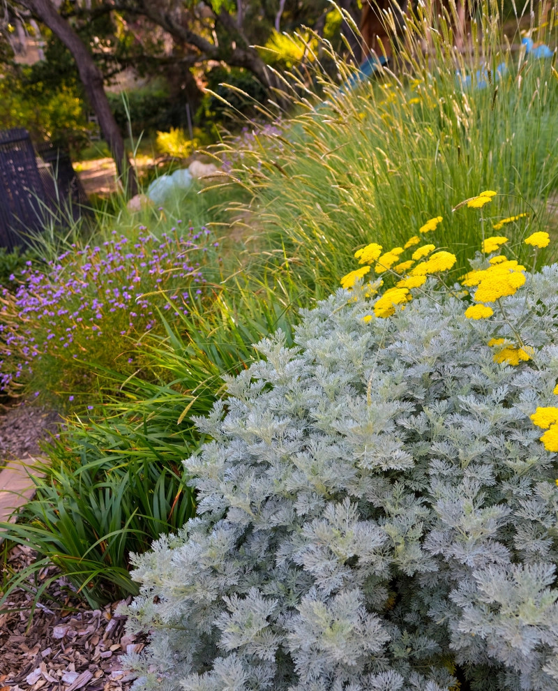 Belmont Family Fun by Kristen Rudger Landscape Design - Photo 4