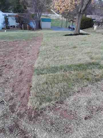 Alberto Alavez Professional Lawn Services LLC 5 by Alberto Alavez Professional Lawn Services LLC - Photo 84