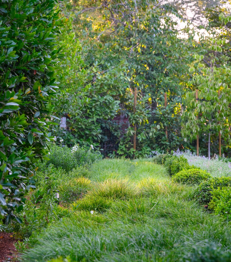 Hillsborough traditional by Kristen Rudger Landscape Design - Photo 4