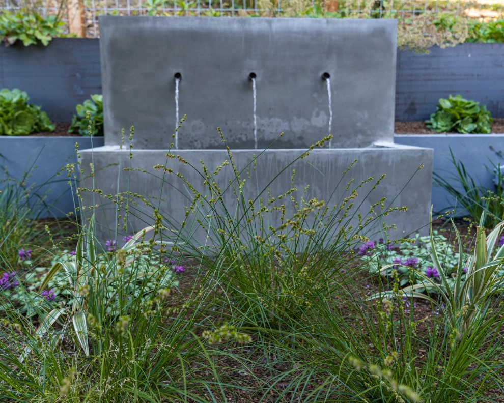 San Mateo Contemporary in a Natural Setting by Kristen Rudger Landscape Design - Photo 2
