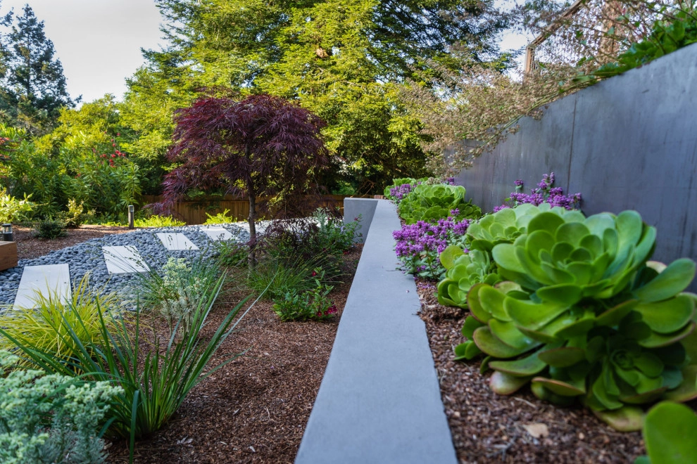 San Mateo Contemporary in a Natural Setting by Kristen Rudger Landscape Design - Photo 10
