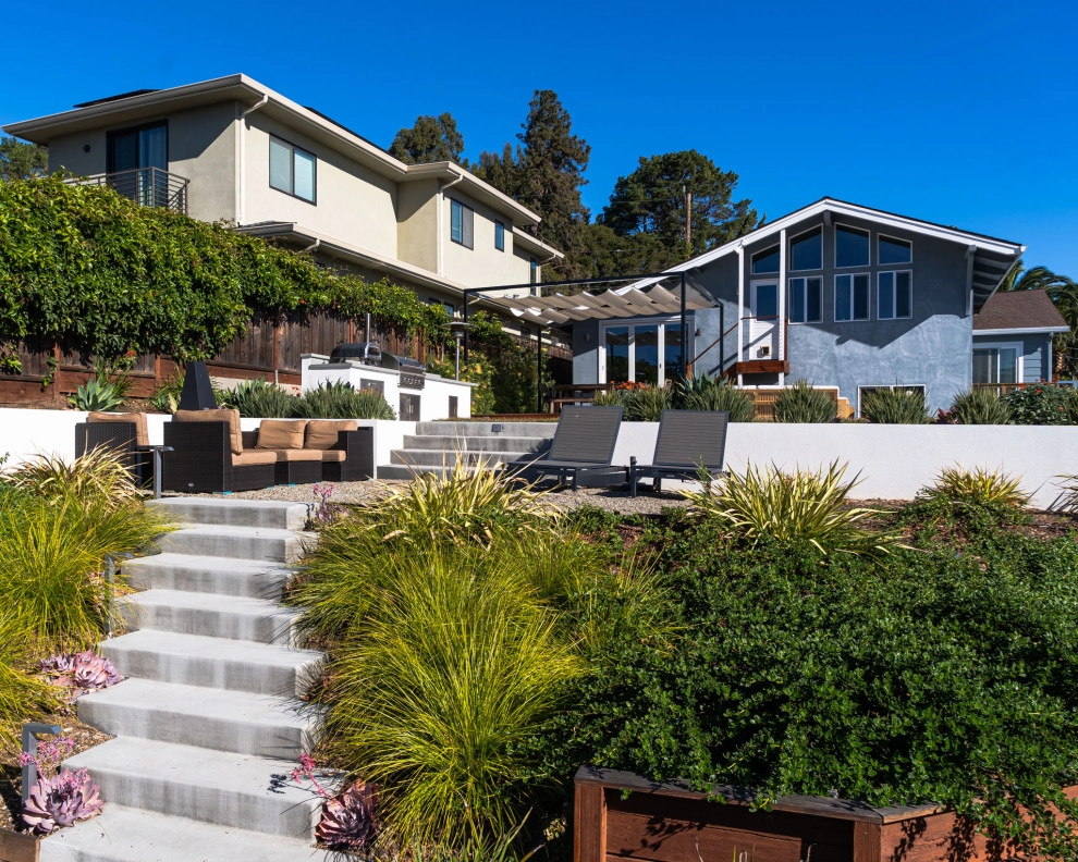 San Carlos Contemporary Patio and Kitchen by Kristen Rudger Landscape Design - Photo 7