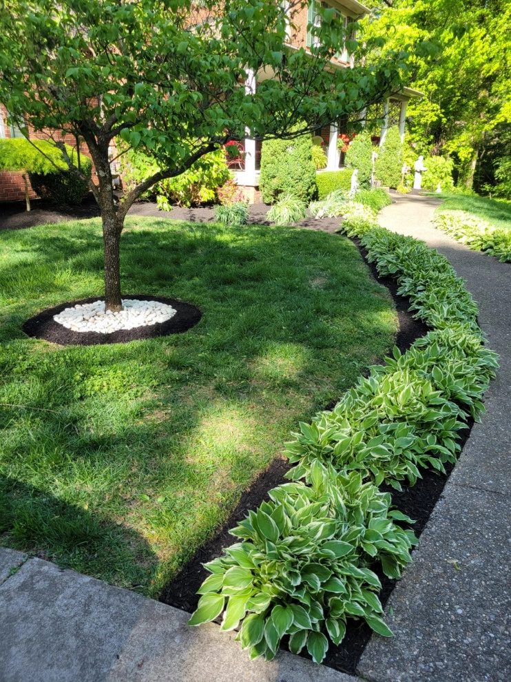 Alberto Alavez Professional Lawn Services LLC 16 by Alberto Alavez Professional Lawn Services LLC - Photo 11