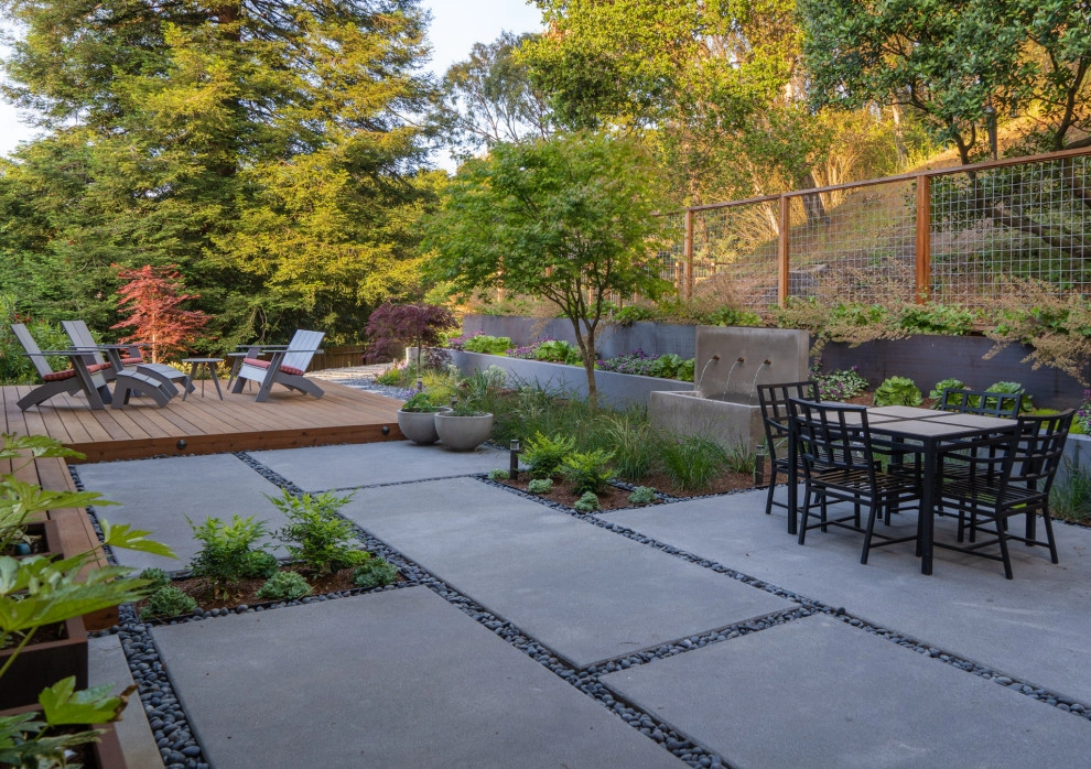 San Mateo Contemporary in a Natural Setting by Kristen Rudger Landscape Design - Photo 5