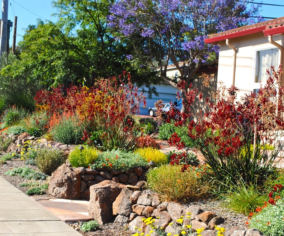Good bye lawn, hello color! by Kristen Rudger Landscape Design - Photo 9