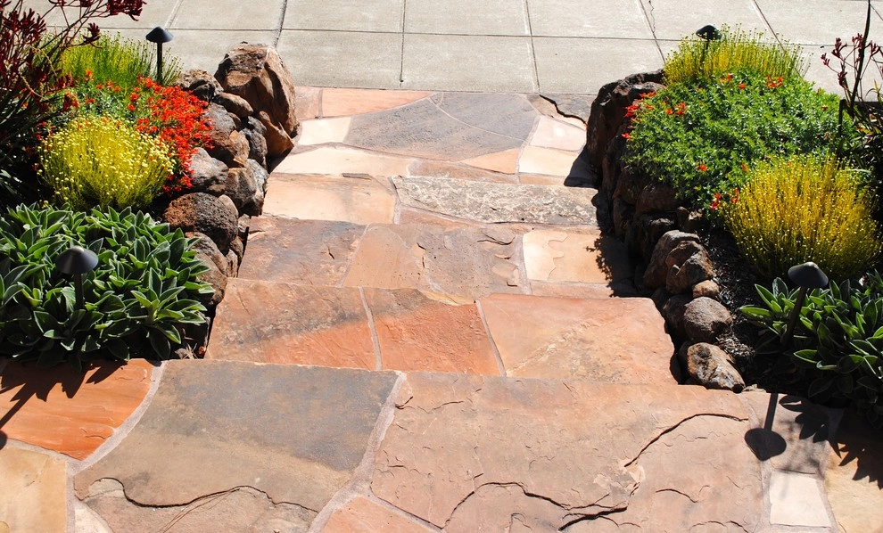 Good bye lawn, hello color! by Kristen Rudger Landscape Design - Photo 3