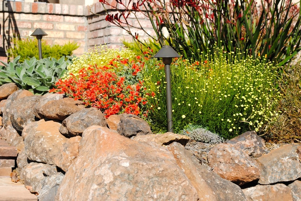 Good bye lawn, hello color! by Kristen Rudger Landscape Design - Photo 7