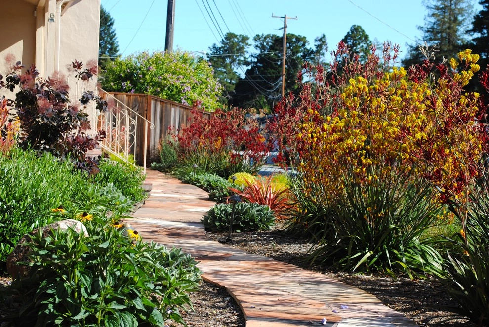 Good bye lawn, hello color! by Kristen Rudger Landscape Design - Photo 6