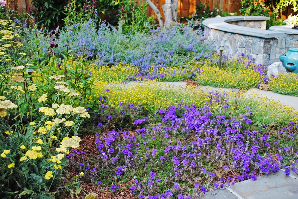 Burlingame Backyard Vegetable Garden by Kristen Rudger Landscape Design - Photo 7
