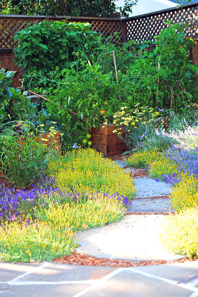 Burlingame Backyard Vegetable Garden by Kristen Rudger Landscape Design - Photo 4