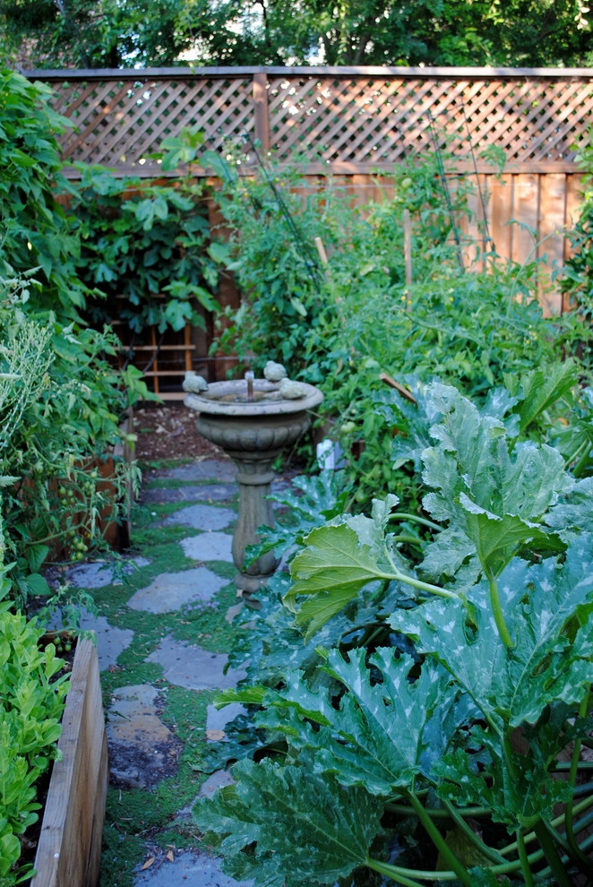 Burlingame Backyard Vegetable Garden by Kristen Rudger Landscape Design - Photo 10