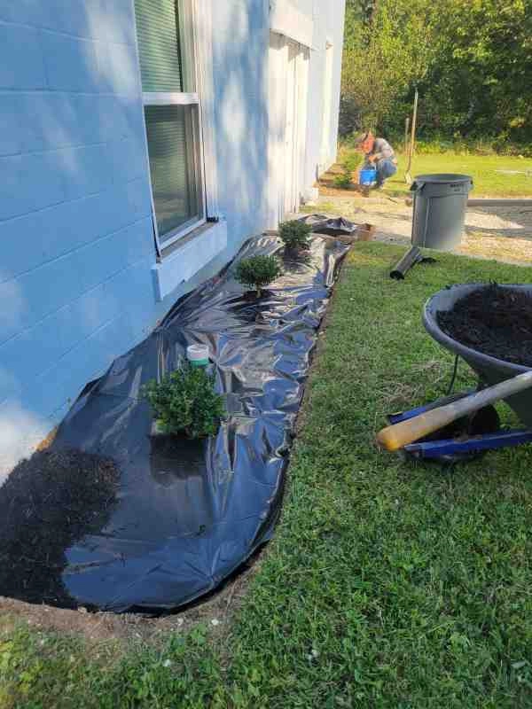 Alberto Alavez Professional Lawn Services LLC 4 by Alberto Alavez Professional Lawn Services LLC - Photo 4