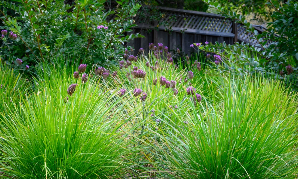 Hillsborough Outdoor Living Room by Kristen Rudger Landscape Design - Photo 9