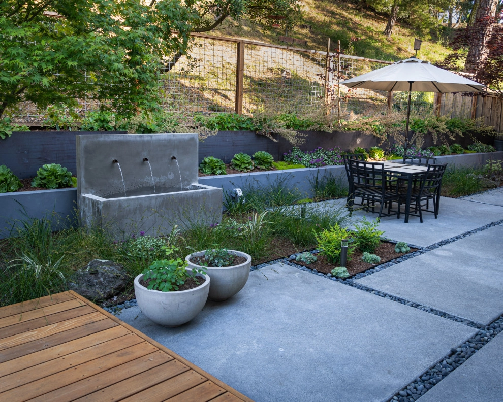 San Mateo Contemporary in a Natural Setting by Kristen Rudger Landscape Design - Photo 6