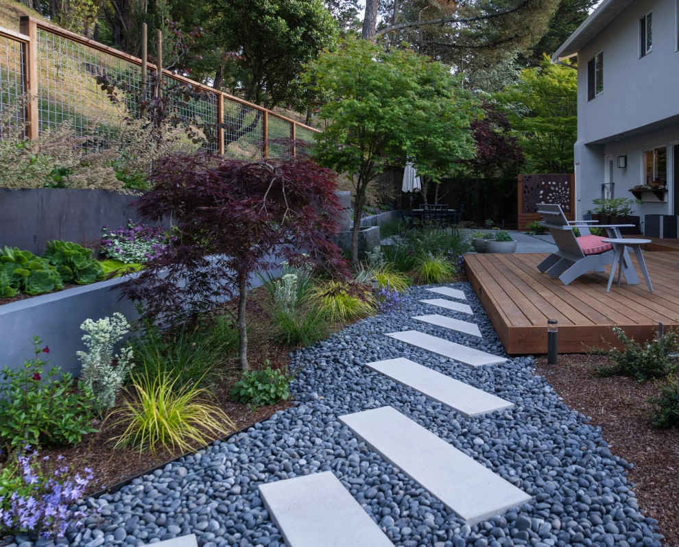 San Mateo Contemporary in a Natural Setting by Kristen Rudger Landscape Design - Photo 3