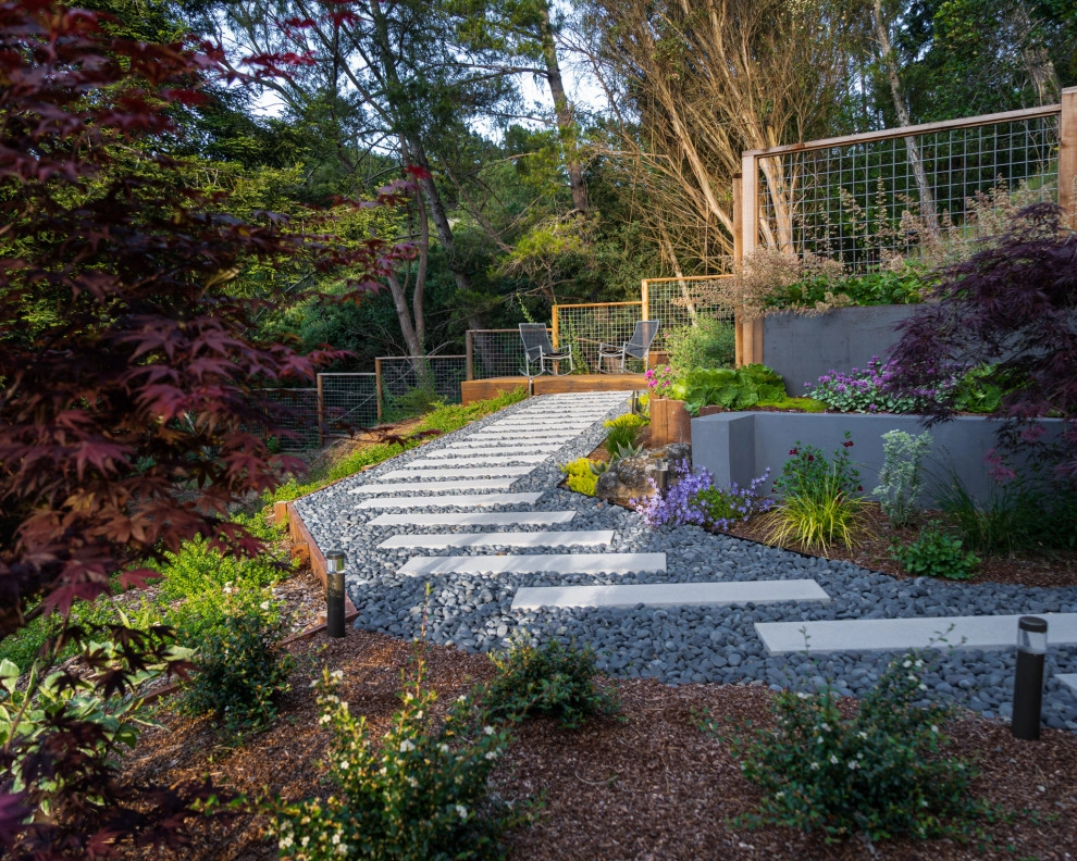 San Mateo Contemporary in a Natural Setting by Kristen Rudger Landscape Design - Photo 4