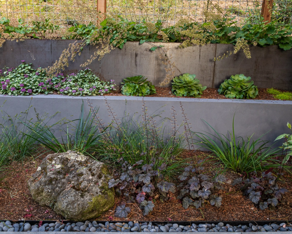 San Mateo Contemporary in a Natural Setting by Kristen Rudger Landscape Design - Photo 7