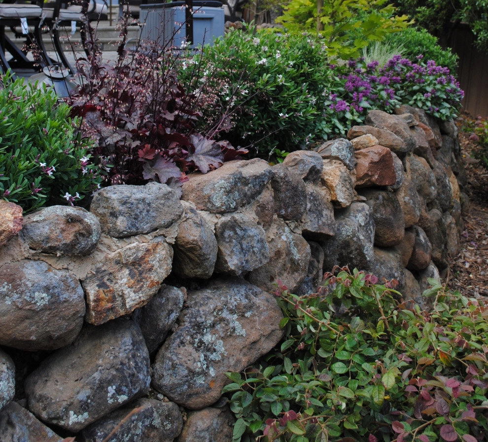 Belmont Outdoor Living by Kristen Rudger Landscape Design - Photo 11