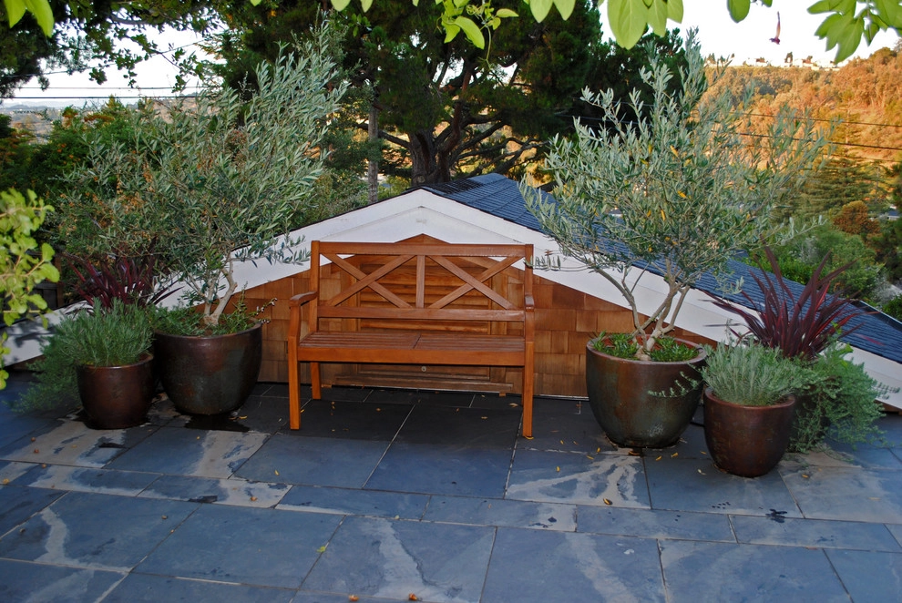 San Carlos Fabulous outdoor kitchen by Kristen Rudger Landscape Design - Photo 4