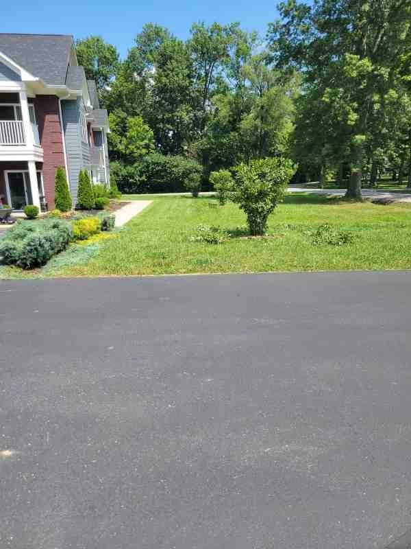 Alberto Alavez Professional Lawn Services LLC 4 by Alberto Alavez Professional Lawn Services LLC - Photo 129