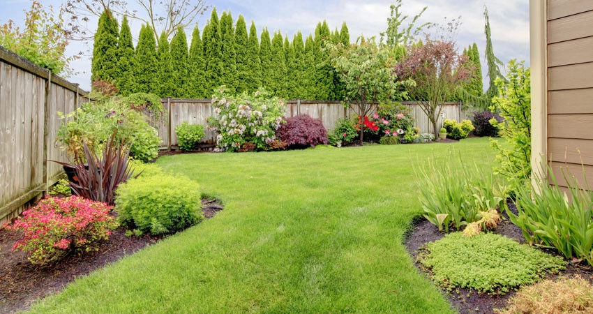 Ladybug Landscaping - Photo 2