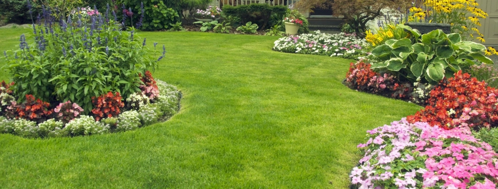 Ladybug Landscaping - Photo 11