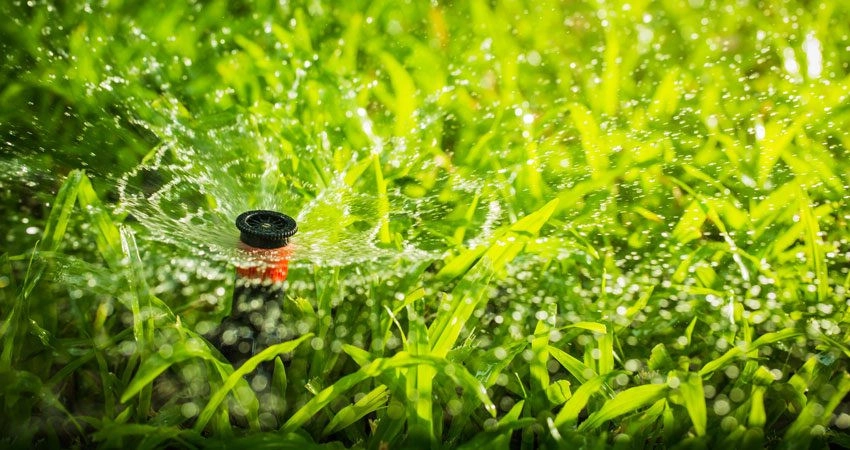 Ladybug Landscaping - Photo 7