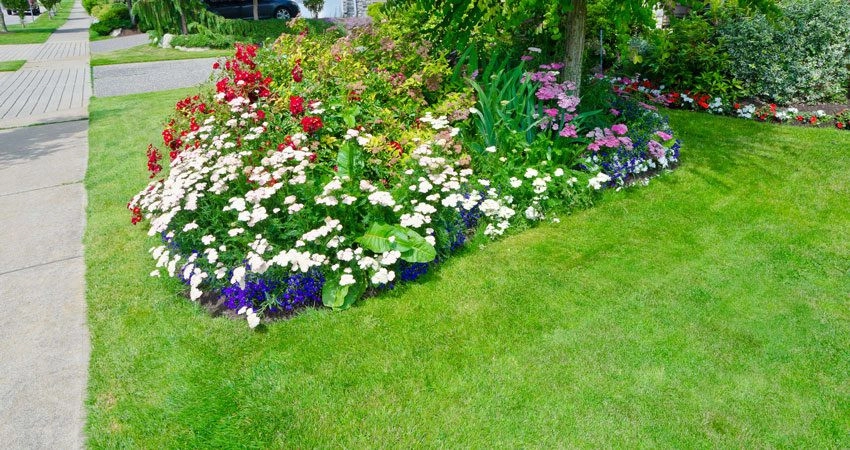 Ladybug Landscaping - Photo 12