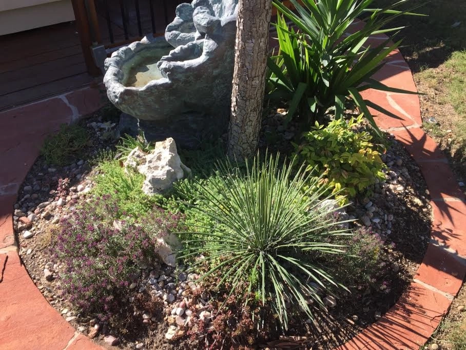 Ladybug Landscaping - Photo 8