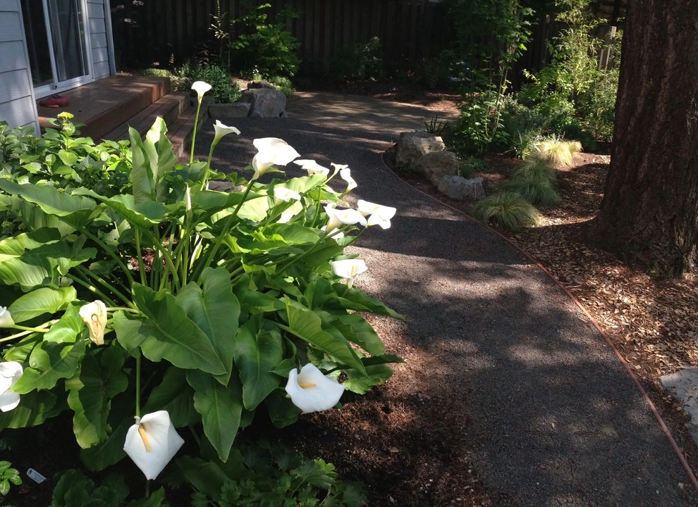 Myers I by Alyse Lansing Garden Design - Photo 8