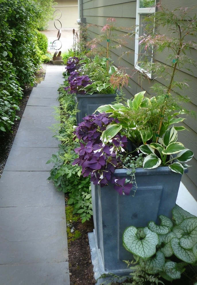 Leon Garden by Alyse Lansing Garden Design - Photo 3