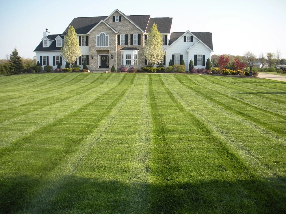 Lawn Maintenance by Lamphear's Lawn Service LLC - Photo 3