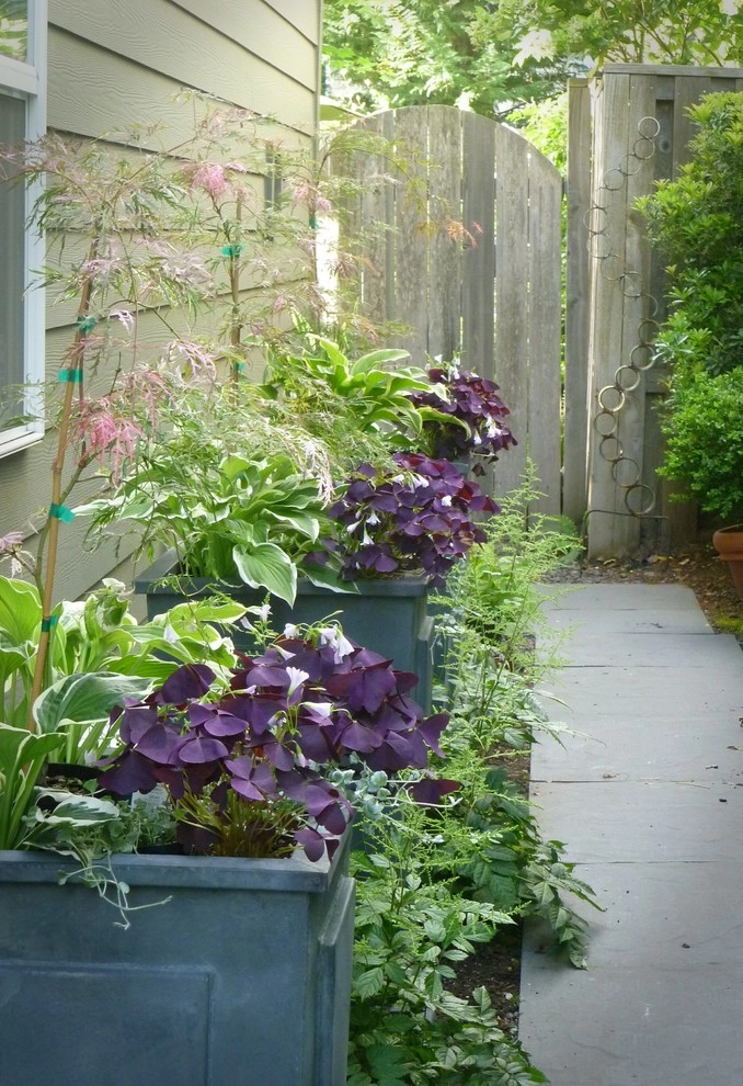 Leon Garden by Alyse Lansing Garden Design - Photo 4
