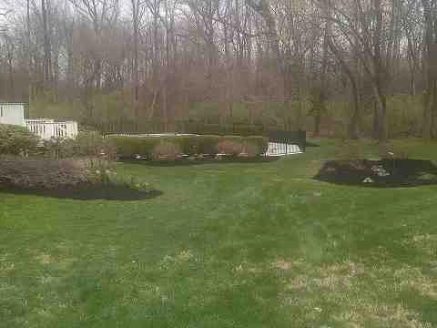 Alberto Alavez Professional Lawn Services LLC 4 by Alberto Alavez Professional Lawn Services LLC - Photo 13