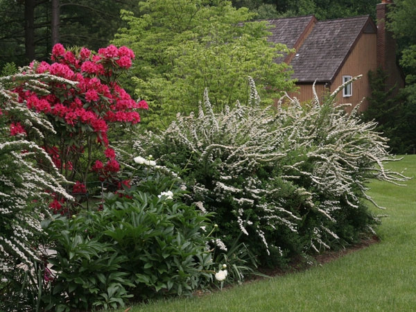 Landscapes by Land Art Design, Inc. - Photo 7