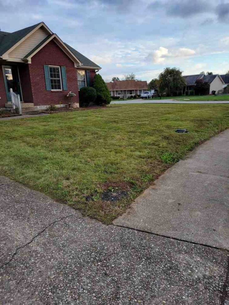 Alberto Alavez Professional Lawn Services LLC 7 by Alberto Alavez Professional Lawn Services LLC - Photo 13