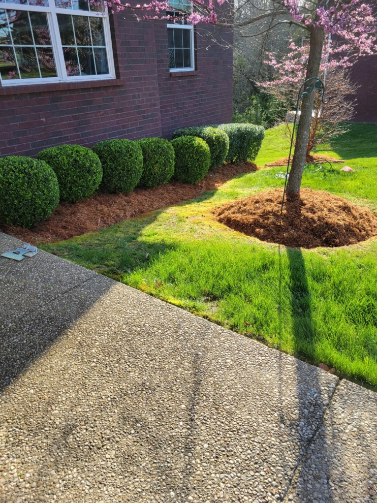 Alberto Alavez Professional Lawn Services LLC 14 by Alberto Alavez Professional Lawn Services LLC - Photo 13