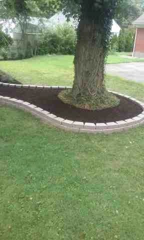 Alberto Alavez Professional Lawn Services LLC 1 by Alberto Alavez Professional Lawn Services LLC - Photo 32