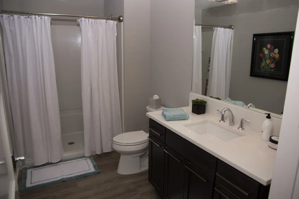 Contemporary Opulence by G.A. White Homes - Photo 5