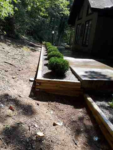 Alberto Alavez Professional Lawn Services LLC 1 by Alberto Alavez Professional Lawn Services LLC - Photo 20
