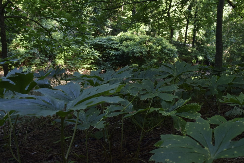 Land Stewards Ecological Landscape Design - Photo 11