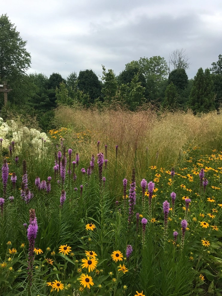 Land Stewards Ecological Landscape Design - Photo 13