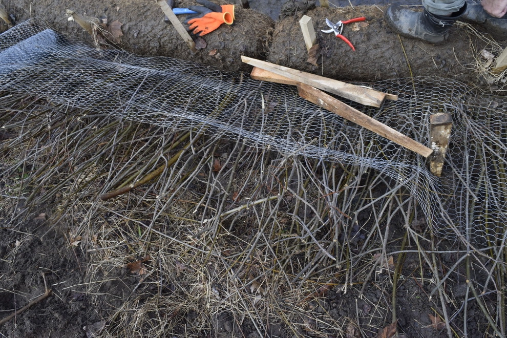 Saul Streambank Restoration by Land Stewards Ecological Landscape Design - Photo 6