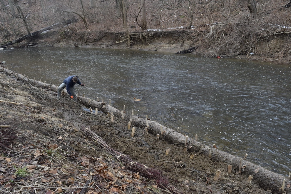 Saul Streambank Restoration by Land Stewards Ecological Landscape Design - Photo 7