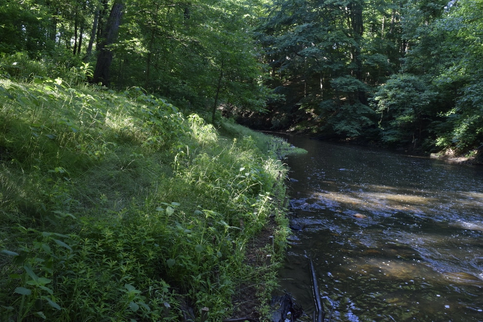 Land Stewards Ecological Landscape Design - Photo 2