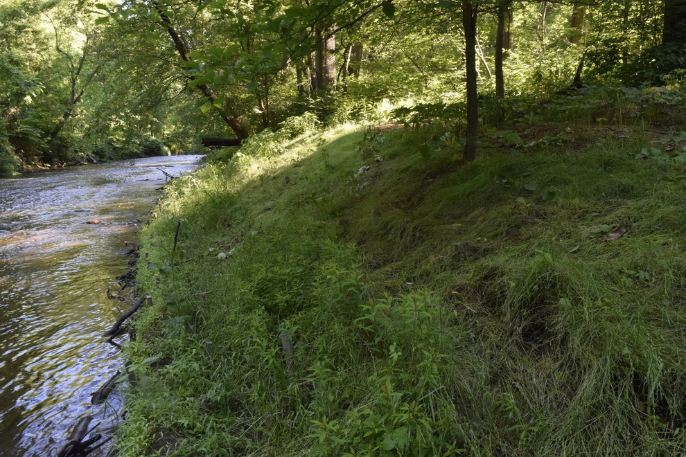 Saul Streambank Restoration by Land Stewards Ecological Landscape Design - Photo 5
