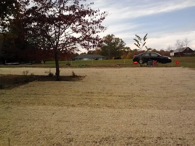 Land Stewards Ecological Landscape Design - Photo 12