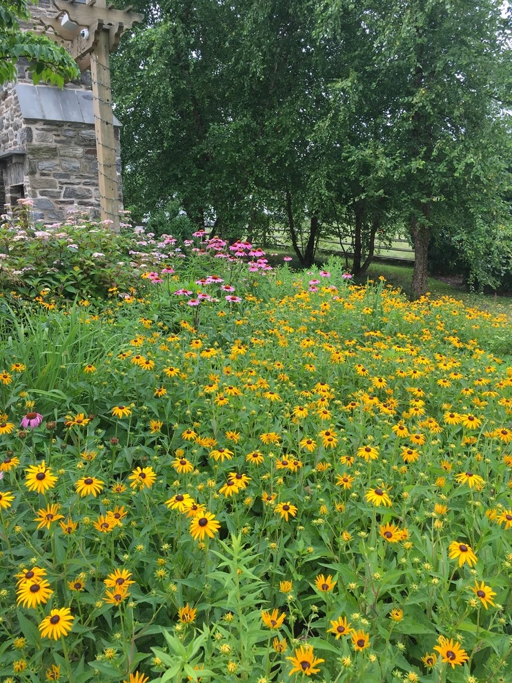 Land Stewards Ecological Landscape Design - Photo 9