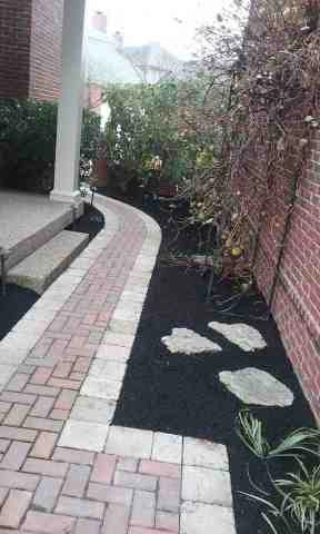Alberto Alavez Professional Lawn Services LLC 1 by Alberto Alavez Professional Lawn Services LLC - Photo 45