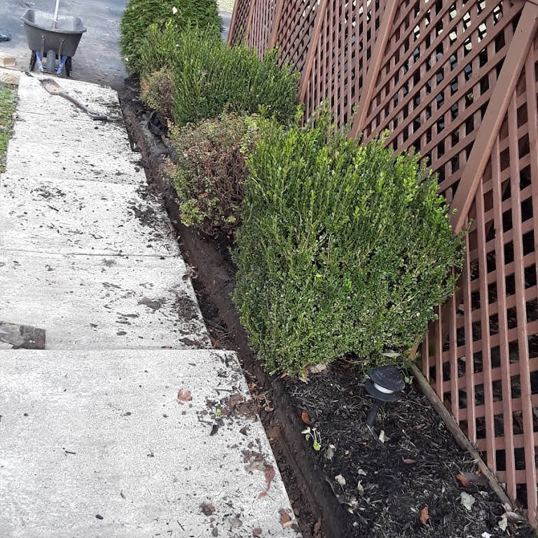 Alberto Alavez Professional Lawn Services LLC by Alberto Alavez Professional Lawn Services LLC - Photo 9